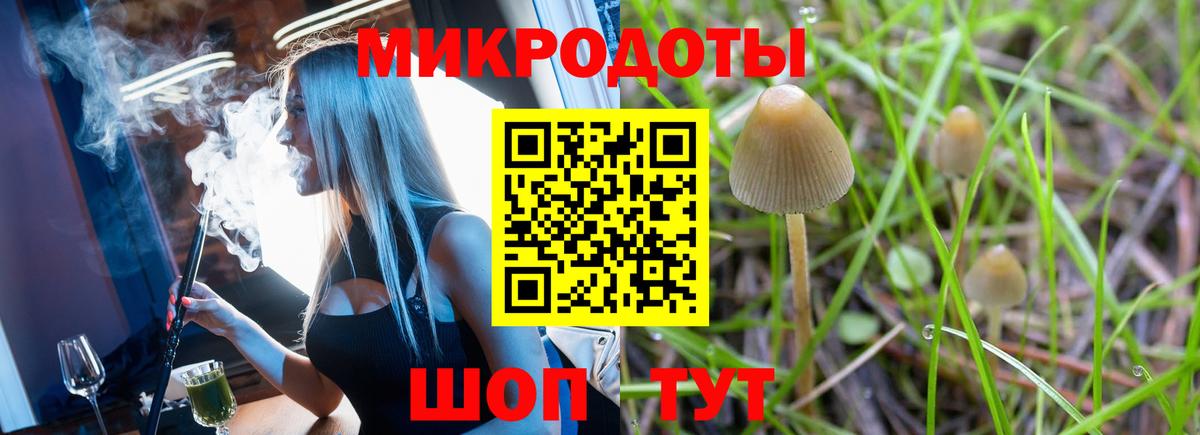 Псилоцибиновые грибы мицелий Артём