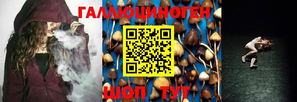 Галлюциногенные грибы GOLDEN TEACHER  Вход с VPN  Псилоцибиновые грибы Psilocybine cubensis  Артём 